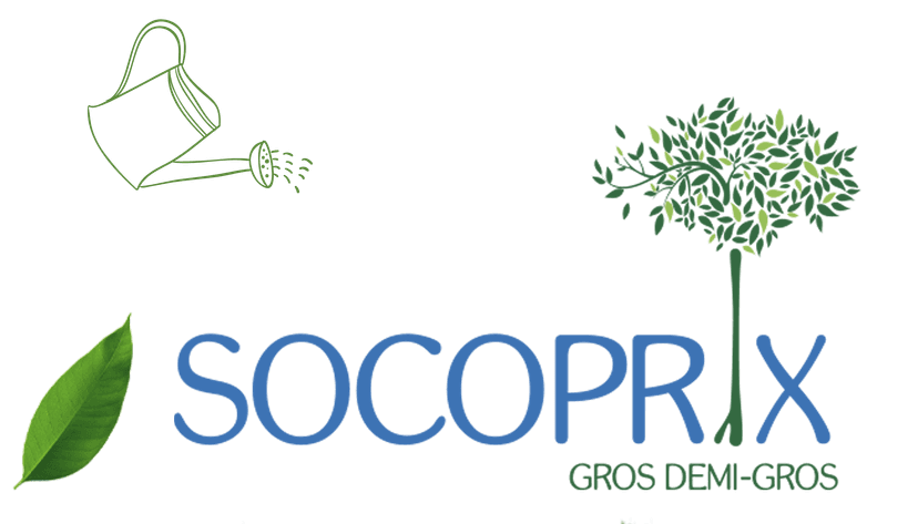 Socoprix Logo